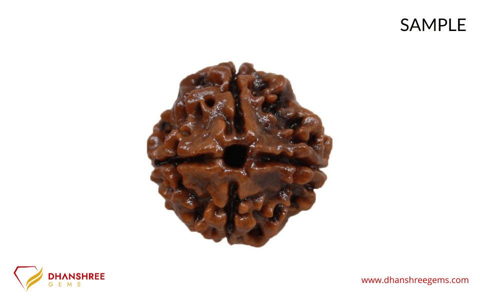 4 Mukhi Rudraksha