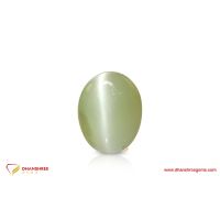 Cat's Eye (Lehsunia) - front view