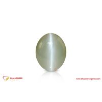 Cat's Eye (Lehsunia) - front view
