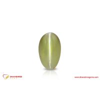 Cat's Eye (Lehsunia) - front view