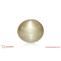 Cat's Eye (Lehsunia) - front view