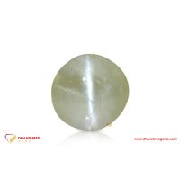 Cat's Eye (Lehsunia) - front view