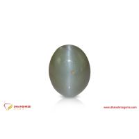 Cat's Eye (Lehsunia) - front view