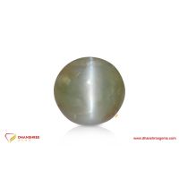Cat's Eye (Lehsunia) - front view