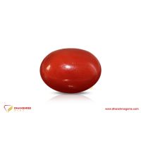 Red Coral (Moonga) - front view
