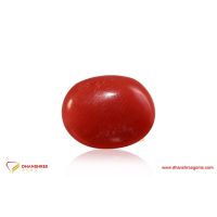 Red Coral (Moonga) - front view