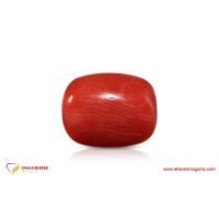 Red Coral (Moonga) - front view