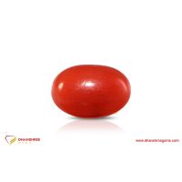 Red Coral (Moonga) - front view