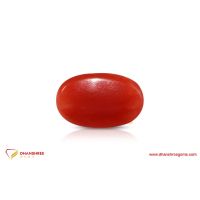 Red Coral (Moonga) - front view