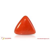 Red Coral (Moonga) - front view