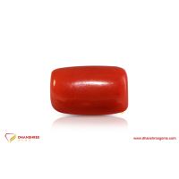 Red Coral (Moonga) - front view
