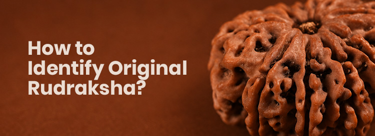 How to Identify Original Rudraksha: Complete Guide