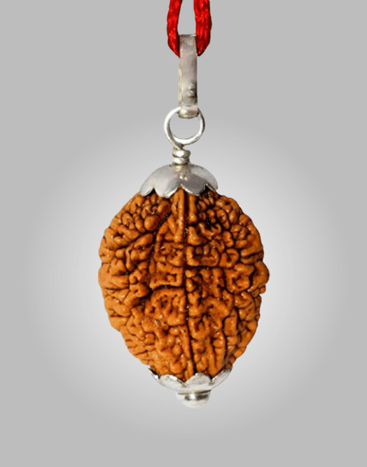 Rudraksha