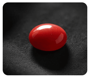buy certified red coral