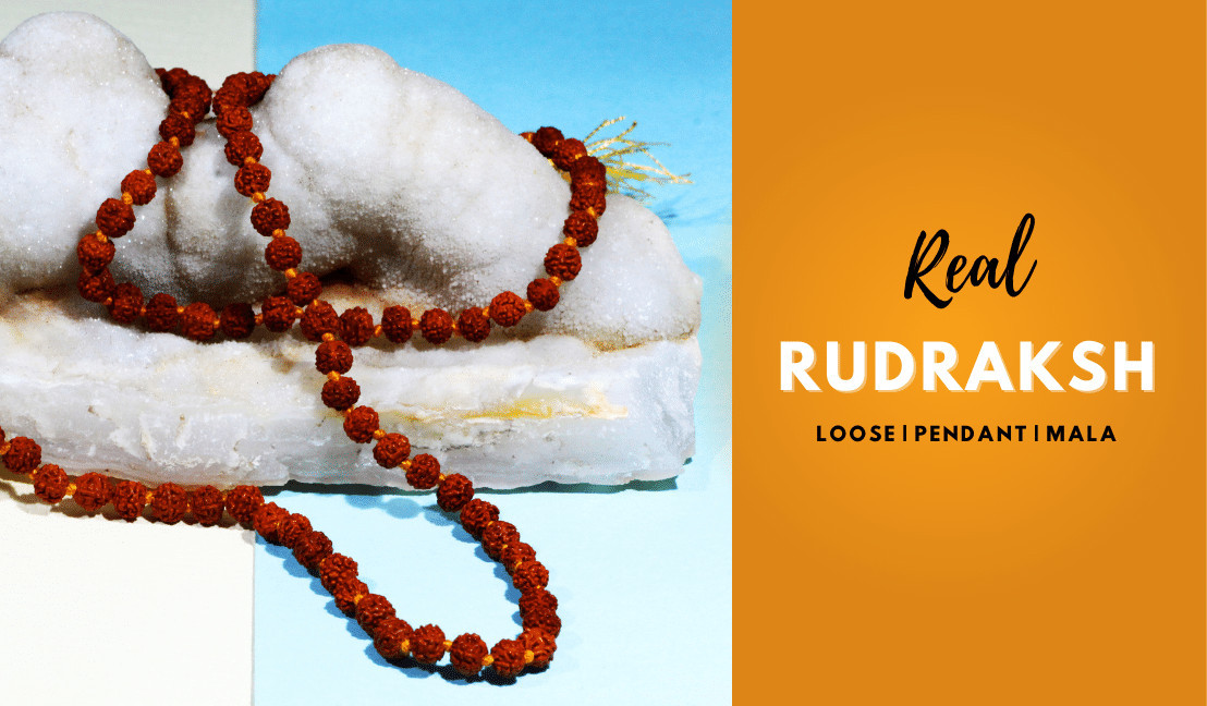 Rudraksh
