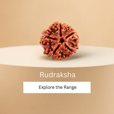 Rudraksha